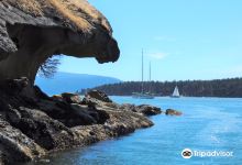 Sucia Island State Park景点图片