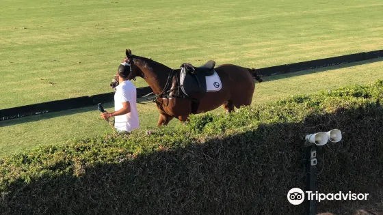 Polo Santa Maria