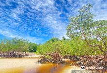 Quinta Praia (Praia do Encanto)景点图片