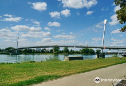 Passerelle Mimram景点图片