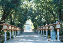 宫崎神宫景点图片