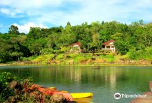 Mambukal Mountain Resort景点图片