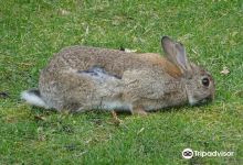 Kinderboerderij de Naturij景点图片