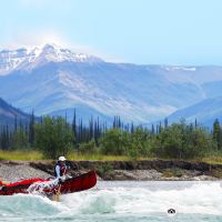 诺曼韦尔斯图片