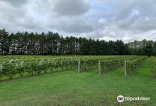 Vignoble Morou景点图片