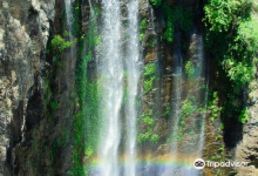 Queen Mary Falls Caravan Park景点图片