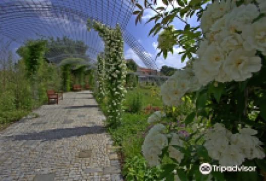 Akademic garden ZF MENDELU景点图片