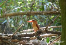 Baras Bird Sanctuary景点图片