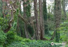 Vale dos Lagos at Parque de Pena景点图片