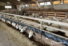 Ferme de Grignon景点图片