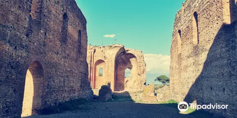 Museo e Parco Archeologico Nazionale di Scolacium