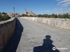 罗马古桥-萨拉曼卡