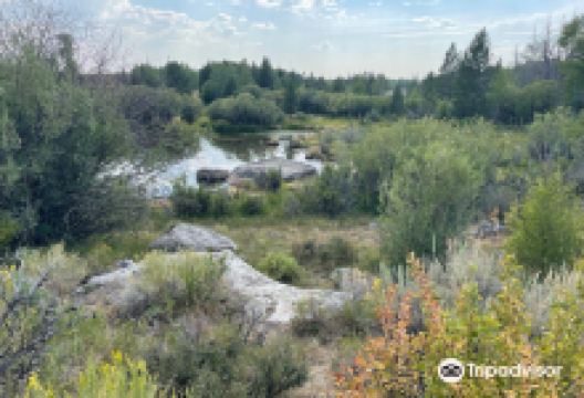 CCC Ponds Recreation Area景点图片