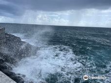 阿拉吼吼喷泉口-Tiarei