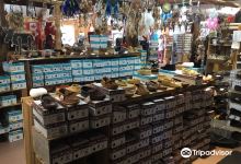 Dwight Trading Post购物图片