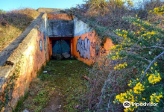 Site du Bégo Site du Bego景点图片