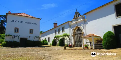 Quinta do Sanguinhal