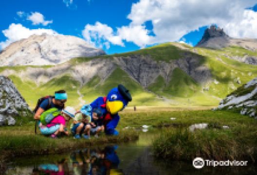 Bergbahnen Engstligenalp AG景点图片