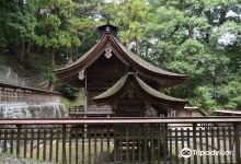 武田八幡宫景点图片