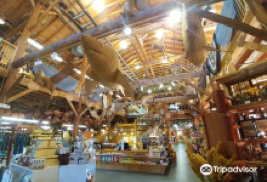 Basketville购物图片