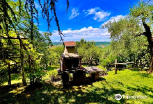 Fattoria Madonna delle Macchie景点图片