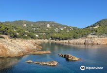 Plage de Sa Tuna景点图片