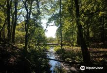 Independence Oaks County Park景点图片