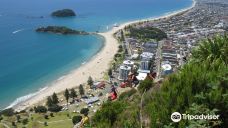 Mauao / Mount Maunganui summit-塔朗哥