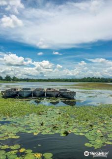 Futala Lake-那格浦尔