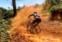 Freeride Mountain Biking Madeira Island购物图片