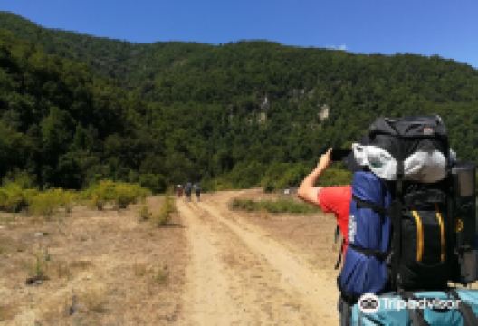 Reserva Natural Los Huemules del Niblinto景点图片