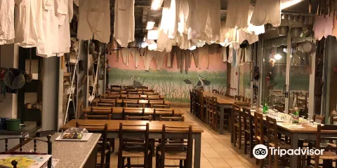 Ecomuseo delle Erbe Palustri