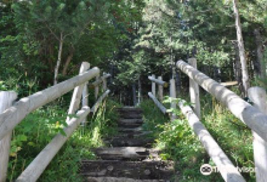 Mirador Font del Besurt景点图片