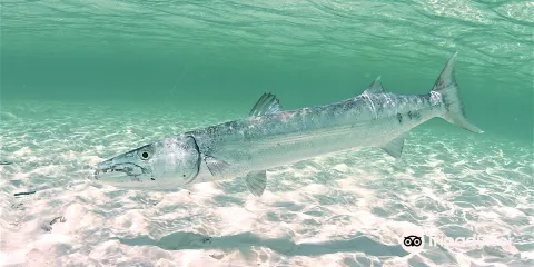 Captain Buddy LaPointe