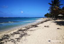 Plage de l'Autre Bord景点图片