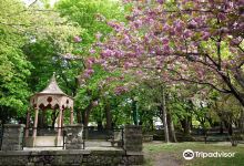 Villa Comunale di Bovino景点图片