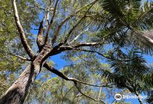 Port Stephens Native Flora Reserve East Wing景点图片