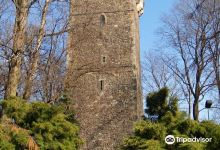 Piastowska Tower景点图片