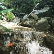 Granja La Cascada-La Frontera