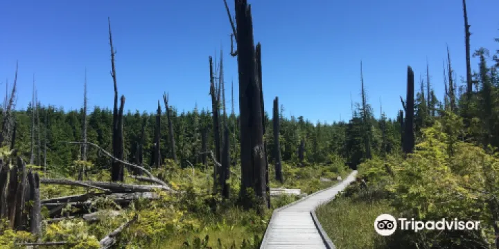 Alert Bay Ecological Park, Alert Bay, British Columbia