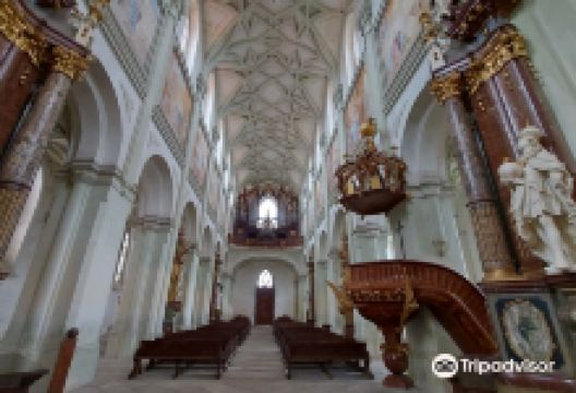 Kladruby Monastery景点图片