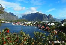 Bunes Beach景点图片