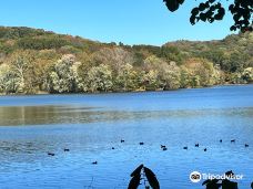 Radnor Lake State Park-Oak Hill