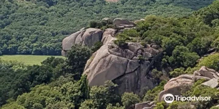 Ropotamo Nature Reserve