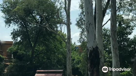 Kaluna Park