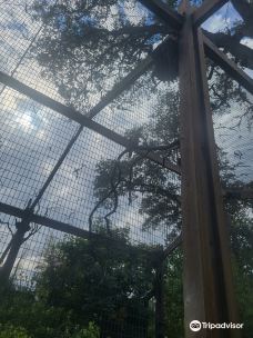 Safari West-圣罗莎