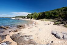Spiaggia Cala Ginepro e Sa Curcurica景点图片
