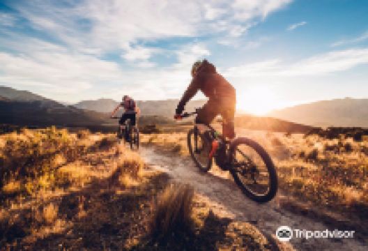 Pyrénées Vélo Evolution - Pyrénées Vélo 65购物图片