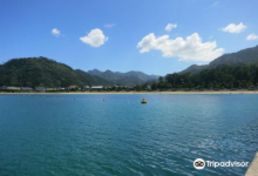 Nakamura Beach景点图片