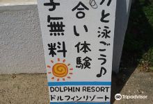 Dolphin Resort景点图片